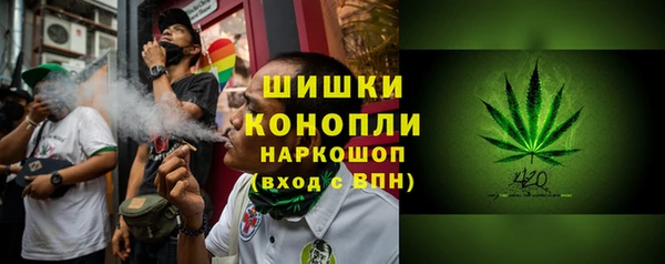 PSILOCYBIN Белокуриха