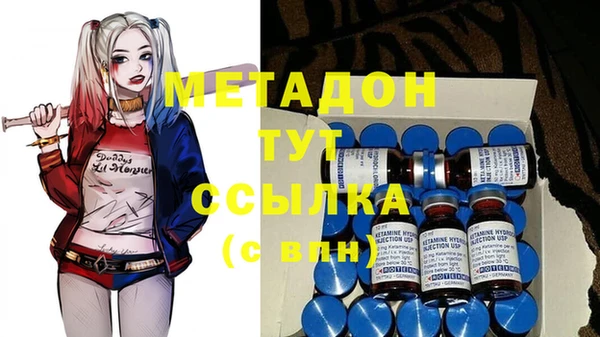 PSILOCYBIN Белокуриха