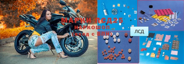 PSILOCYBIN Белокуриха
