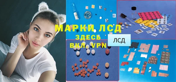 PSILOCYBIN Белокуриха